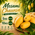Mosmi Chaunsa Mango – The Ultimate Taste of Summer #Export